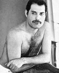 Freddie Mercury Freddie Mercury Bulsara Freddie Mecury