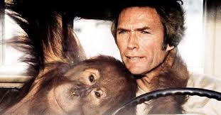 Watched in 2013 (481 items) list by tumppi. Every Which Way But Loose Is Clint Eastwood S Most Successful Film