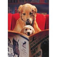 Personalized pet photo dog grandpa father's day holiday card. Dogs Reading Paper Father S Day Card Akc Shop