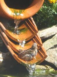 Bird In Bird Bath Video Great Idea Bird Bath Rustic Bird Baths Roof Tiles