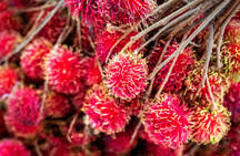 Nutritional value per 100 g of fresh rambutan energy 343 kj (82 kcal) carbohydrates 20.87 g Fresh Rambutan Fruit Sold At Market In Togian Islands Indonesia Southeast Asia Asia Stockphoto