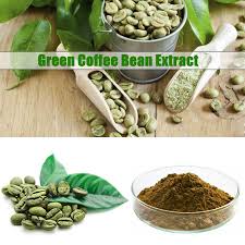 The coffee plant is grown all over the world in regions close to the equator. Hongda Wholesale Pure Chlorogenic Acid Water Soluble Bulk Powder Green Coffee Bean Extract Products China Hongda Wholesale Pure Chlorogenic Acid Water Soluble Bulk Powder Green Coffee Bean Extract Supplier