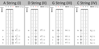 Cello Position Diagram The Cello Companion