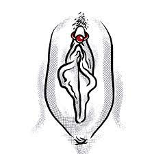 Horizontal Clitoral Hood Piercing Piercing Studio Wien