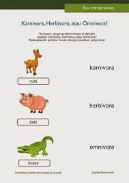 Belajar Anak Herbivora Karnivora Omnivora Cupido Creative Belajar Anak Pengetahuan