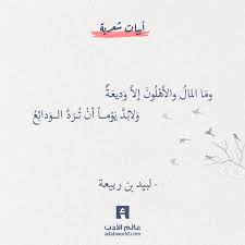شعر لبيد بن ربيعة وما المال والأهلون إلا وديعة عالم الأدب Words Quotes Pretty Quotes Wisdom Quotes
