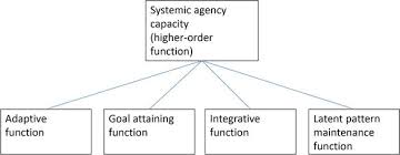 Image result for Higher Integrative Function