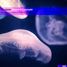 Blugazer - Ethereal Concepts (Original Mix) [Monstercat Silk] | Music &  Downloads on Beatport