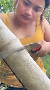 Alone this girl is just genius , #bushcraft #camping #forest #survival  #bamboo #outdoors #lifehacks #teriyabarbara #explorepage #explore  #instareels #trendingreels #trending #viralreels #instagram , ...