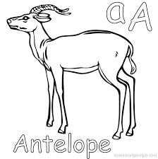 The trinket can be bought by the player after they have sold the legendary pronghorn horn to a fence. Antelope Coloring Pages Pdf To Print Free Coloring Sheets Animal Coloring Pages Antelope Coloring Pages