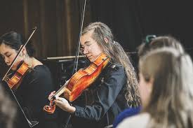 Image result for Viola eminii