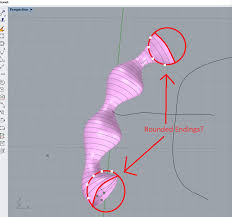 But, are eyes an organic shapes? How Do I Cap Blobs Or Other Organic Shapes Grasshopper Mcneel Forum