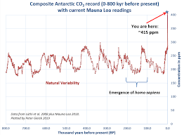 king emphasizes grave consequences of increased co2 levels