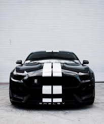 Black And White Mustang Gt Black White Owner Siegel Caleb Follow These Pages Mustang Hunters Musta Ford Mustang Shelby Mustang Shelby Ford Mustang Shelby Gt500