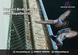 Bird Repellent Gel A Sticky Safe Repellent For Ledges And Window Sills To Keep Birds Away From Roosting Or Land Bird Repellents Get Rid Of Pigeons Repellent