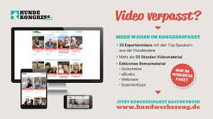 Wie sorgt man für ein harmonisches miteinander? Aurea Verebes Kind Und Hund Hundekongress