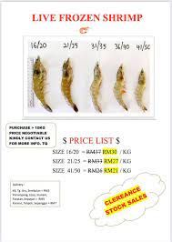 Bhd., and sunlight seafood (sabah), sdn., bhd., will have around 1,500 shrimp ponds, a hatchery, a research and development laboratory and a training center for the commercial development of the pacific white shrimp (penaeus vannamei). Sunlight Inno Seafood Sdn Bhd Home Facebook