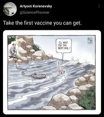 Greifswalder forscher haben erste erklärungen, was die gründe. I Ll Wait Album On Imgur