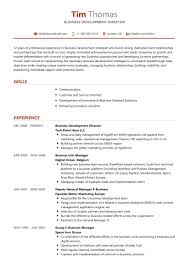 Creating a marketing director resume from scratch can be a challenging task, but you. Business Development Director Resume Sample 2021 Writing Tips Resumekraft