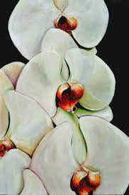 Orchid Painting Original Acrylic Painting Of Large White Orchids White Flower Painting 24x36 With Black Back Orchids Painting Flower Painting Floral Painting
