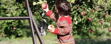 Maximum value 107, while minimum 95. Want To Buy Apple Stock Here S What You Need To Know Nerdwallet