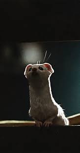 His Dark Materials Pan Wallpaper Hd His Dark Materials Pictures To Draw Cute Little Animals