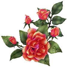 Once purchased you will receive a link to download the.png,.pdf,.svg, and.dxf files so you can use them with any cutting machine (silhouette, cricut, brother, etc.). 220 Blumen Png Ideen Blumen Png Wie Man Blumen Malt