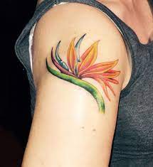 Bird Of Paradise Tattoo Love It Bird Of Paradise Tattoo Paradise Tattoo Tattoos