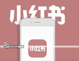 Taiwan's year-long ban on Xiaohongshu triggers backlash and ...