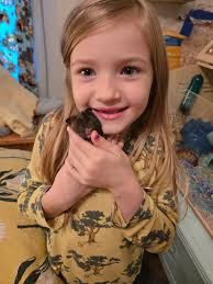 Adopted winter white cutie