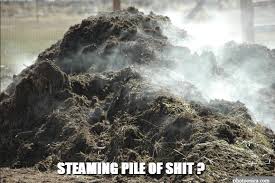 Image result for pile of shit