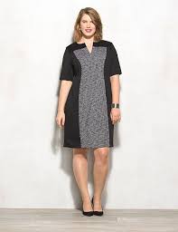 Plus Size Paneled Shift Dress Dressbarn