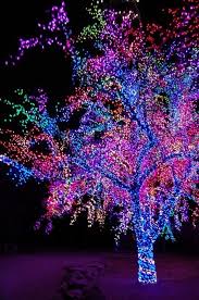 Pin On Christmas Lights Crafts