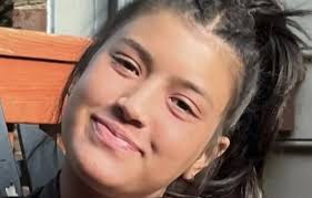 Parents of Missing Teen Believe She Was Groomed and Lured Away Via Social  Media