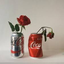The Two Coke Cans Represent The Art Of Aging And The Dead Rose Shows Someone Who Has Already Aged Guller Ilham Fotografcilik