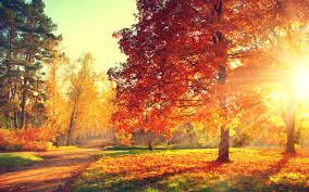 We did not find results for: First Day Of Autumn Our Favorite Fall Activities In Dallas Parks For Downtown Dallas