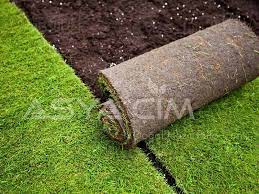 Villa bahçelerinde, ofis girişlerinde, fabrika alanlarında güzel bir görünüm elde etmek için kullanılabilir. Kaliteli Hazir Rulo Cim Karisimi Nasil Elde Edilir Kaliteli Hazir Rulo Cim Hangi Karisimla Olur