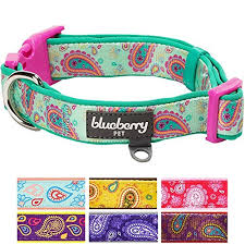 Blueberry Pet Soft Comfy Paisley Flower Print Neoprene