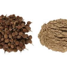 Image result for Sphaeranthus chandleri