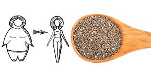 Chia seed atau biji chia merupakan super food yang banyak dikonsumsi oleh orang masa kini. Cara Guna Chia Seed Untuk Kurus