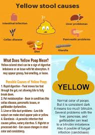 Image result for yellow stool human poop