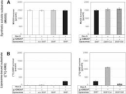 Maybe you would like to learn more about one of these? Membrane Lipids And Their Degradation Compounds Control Gm2 Catabolism At Intralysosomal Luminal Vesicles Journal Of Lipid Research