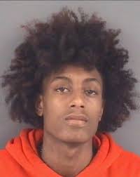 Detectives Seek Persons of Interest