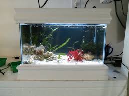 A New Tiny Nano Tank Only 5 Gallons Fish Tank Terrarium Fish Tank Decorations Fish Plants
