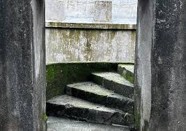 Sewri Fort Restoration | Preserving ...