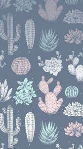 See more ideas about cactus, iphone wallpaper, cute wallpapers. 21 Cactus Iphone Wallpapers Wallpaperboat