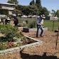 Gardening 101 event in Vallejo, CA