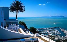 تعود نشأة هذه المدينة لزمن الفينيقيين الذين أسّسوا مدينة قرطاج، وكان جبل سيدي بوسعيد يُسمى آنذاك جبل المنار أو جبل المرسى، فكان هذا الجبل الحِصن المنيع، والحامية العسكريّة، وبرج المراقبة، والمدافع الأول عن قرطاج وكامل المدن التونسيّة، ثم تحوّل المكان إلى مصيفٍ للعائلات التي كانت تقصده، بهدف الاستمتاع بالطبيعة الساحرة، والمناخ المتميّز، في جوٍّ من الصوفيّة والتأمّل، وتشتهر هذه المدينة بالعديد من الاحتفالات ذات الطابع الدينيّ، كاحتفال الخرجة. ØªÙˆÙ†Ø³ Ø¨Ù„Ø¯ÙŠØ© Ø³ÙŠØ¯ÙŠ Ø¨ÙˆØ³Ø¹ÙŠØ¯ ØªØªØ®Ø° Ø¥Ø¬Ø±Ø§Ø¡Ø§Øª Ø¬Ø¯ÙŠØ¯Ø© ØªÙˆÙ‚ÙŠØ§ Ù…Ù† ÙƒÙˆØ±ÙˆÙ†Ø§ ØªÙˆÙ†Ø³ Ø£Ø®Ø¨Ø§Ø± ØªÙˆÙ†Ø³