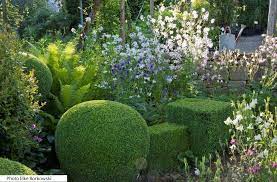 epingle sur plants combination