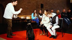 Fotograf für hochzeiten, fashion, business, events und fotoshootings aller art in. Der V I P Hundeprofi Joeys Hundin Bekommt Eine Wichtige Aufgabe